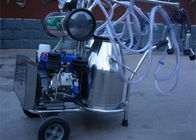Dizel Motor Çift Kepçe İnek Sağım Makinası Elektrik Motorlu / Pulsatörlü
