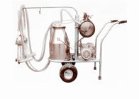 Koyun / Keçi / İnek İçin Vakumlu Pompa Tek Kova Süt Sağım Makinası