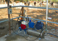 Sıhhi Kepçe ile İnekler / Koyun Kova Alüminyum Taşınabilir Süt Sağım Makinesi